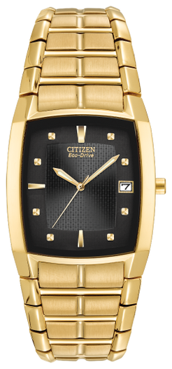 CITIZEN Paradigm Eco Drive Watch