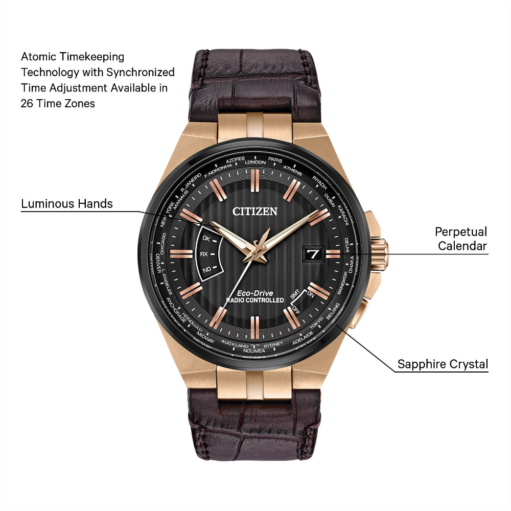 Citizen discount world perpetual